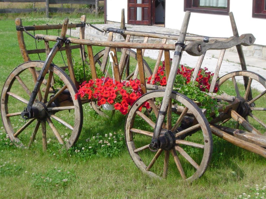 Serena Guesthouse Bran Bran  Eksteriør bilde