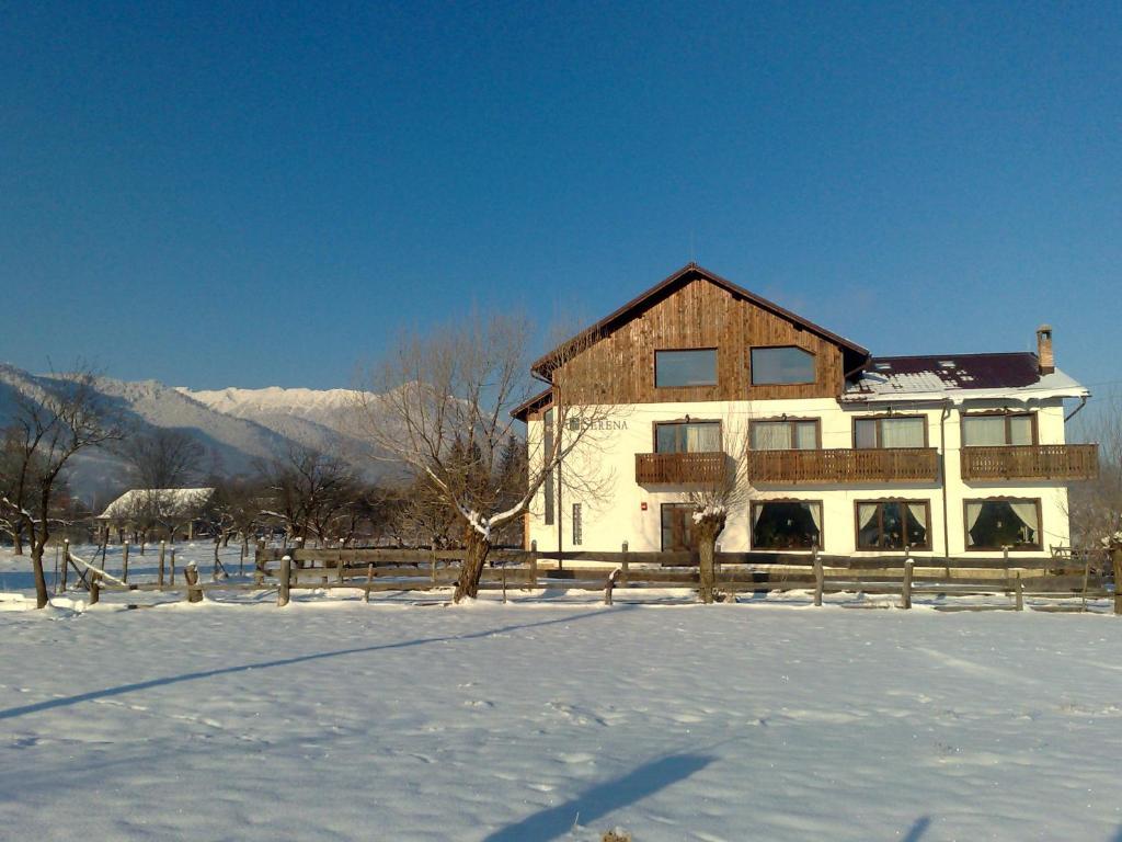 Serena Guesthouse Bran Bran  Eksteriør bilde