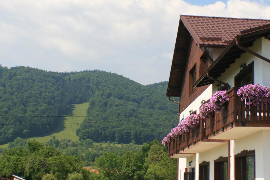 Serena Guesthouse Bran Bran  Eksteriør bilde